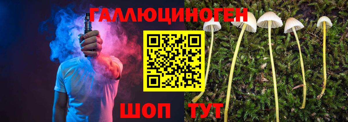 Галлюциногенные грибы мухоморы  Псилоцибиновые грибы GOLDEN TEACHER  Десногорск  Вход с VPN 